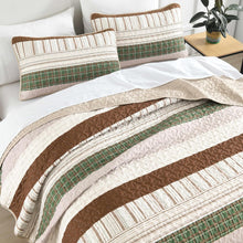 Load image into Gallery viewer, Boho Brown & Green Stripes 3 Piece Bedding Quilt Set